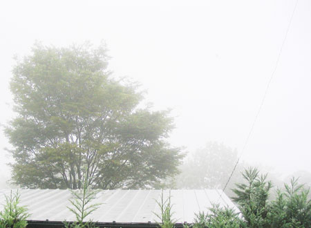 霧雨