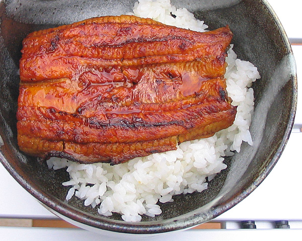 鰻丼完璧