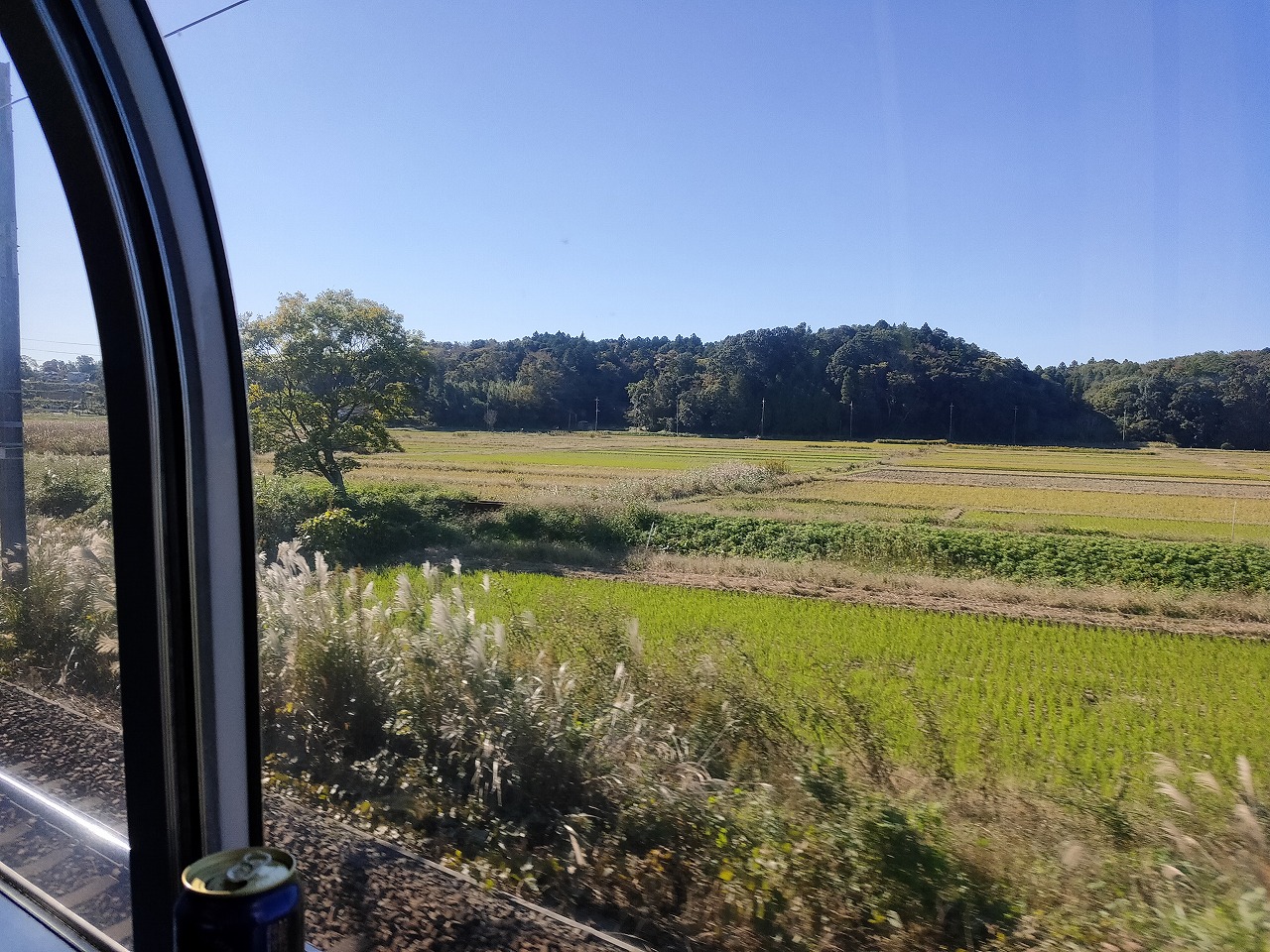 かっぺ田園電車